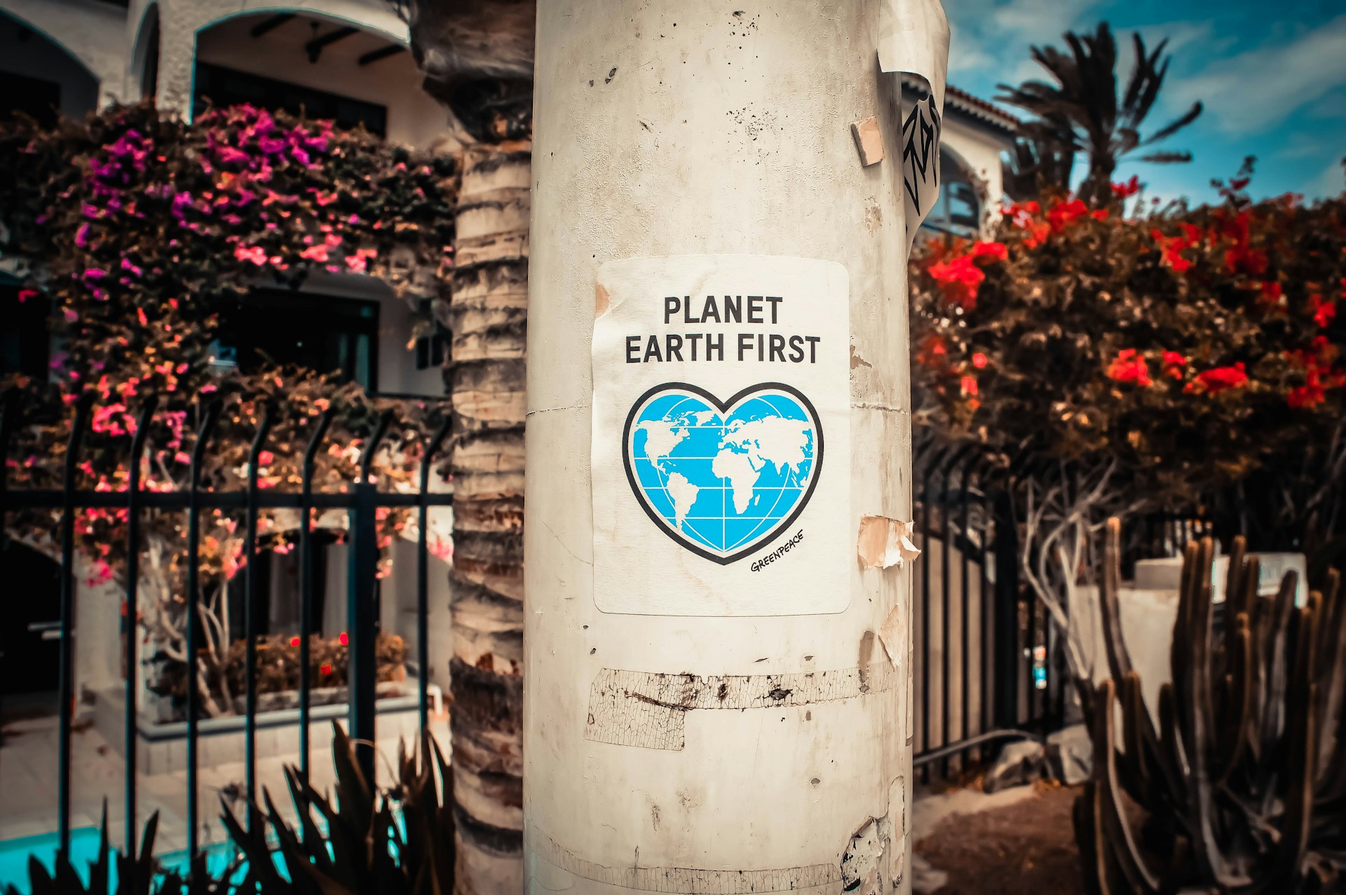 https://portal.horasis.org/wp-content/uploads/2024/04/photo-boards-D0xQQsZovws-unsplash-1.jpg