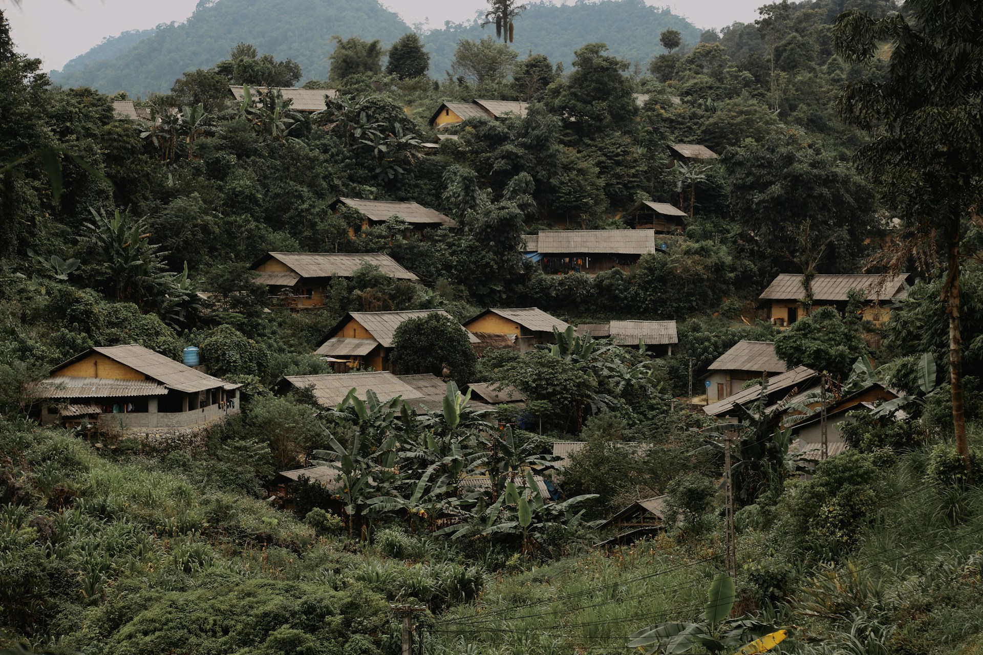 https://portal.horasis.org/wp-content/uploads/2024/06/minh-triet-OEI9ze5hNUM-unsplash-1.jpg